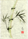 Sunlit Bamboo