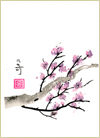 Plum Blossom