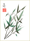 Bamboo Leaves