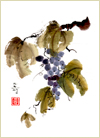 From the Vineyard